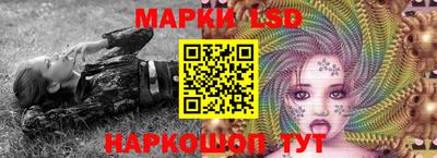 индика Сланцы