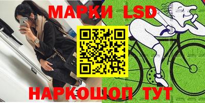 индика Сланцы