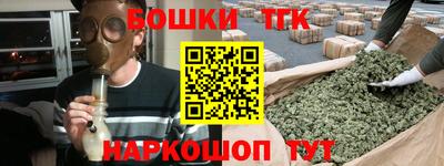 индика Сланцы