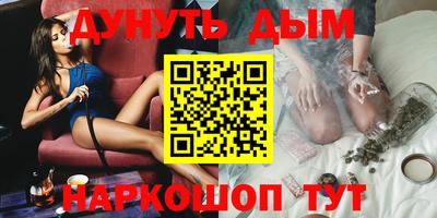 индика Сланцы