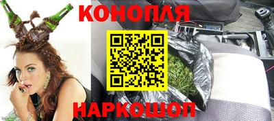 индика Сланцы