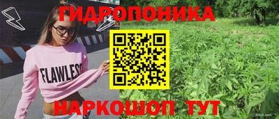 гашик Комсомольск-на-Амуре
