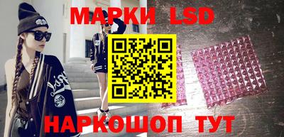 индика Сланцы