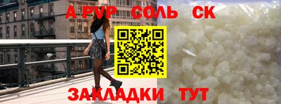 индика Сланцы