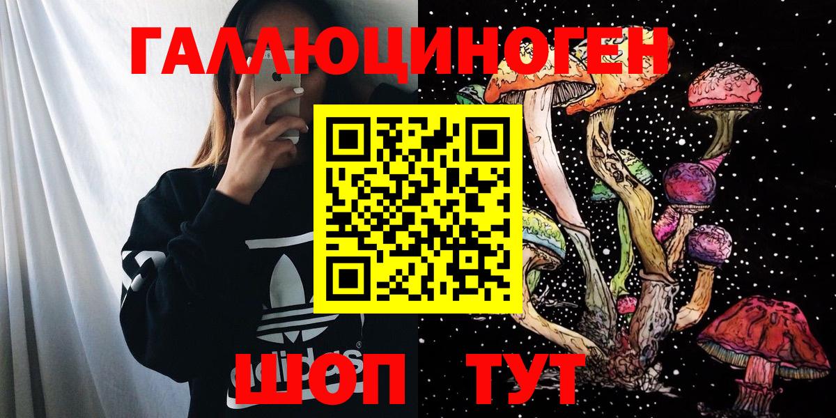 Галлюциногенные грибы Psilocybe  купить   Бутурлиновка 