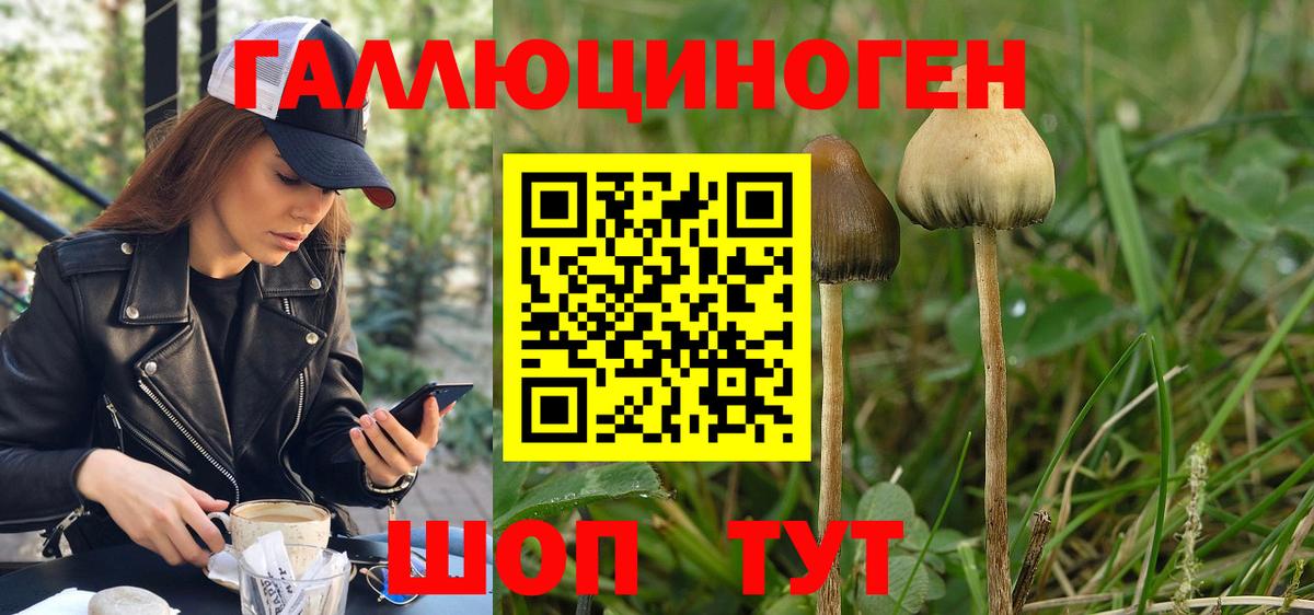 Псилоцибиновые грибы мухоморы Бутурлиновка